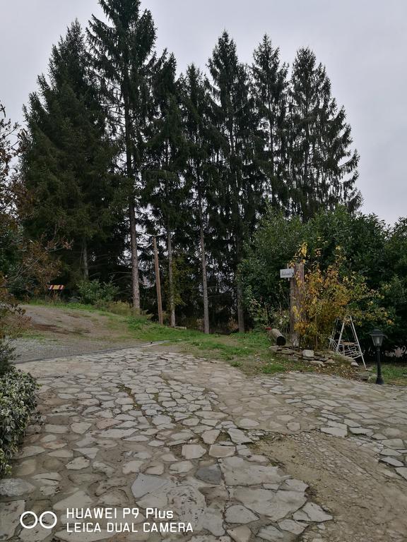 Agriturismo Davide Bossolasco ภายนอก รูปภาพ